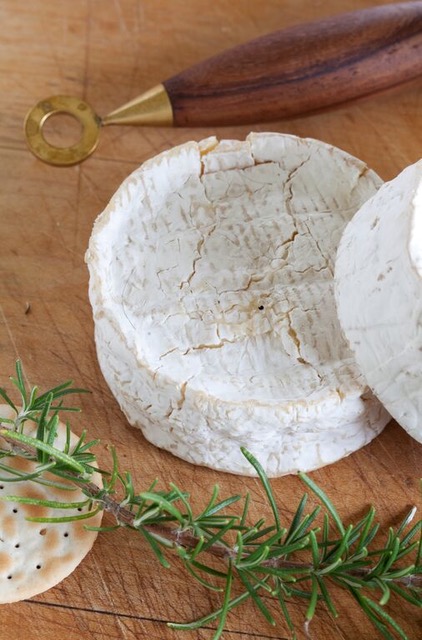 Soft Cheese